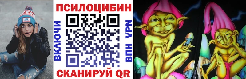 Купить  Тогучин  Псилоцибиновые грибы GOLDEN TEACHER 